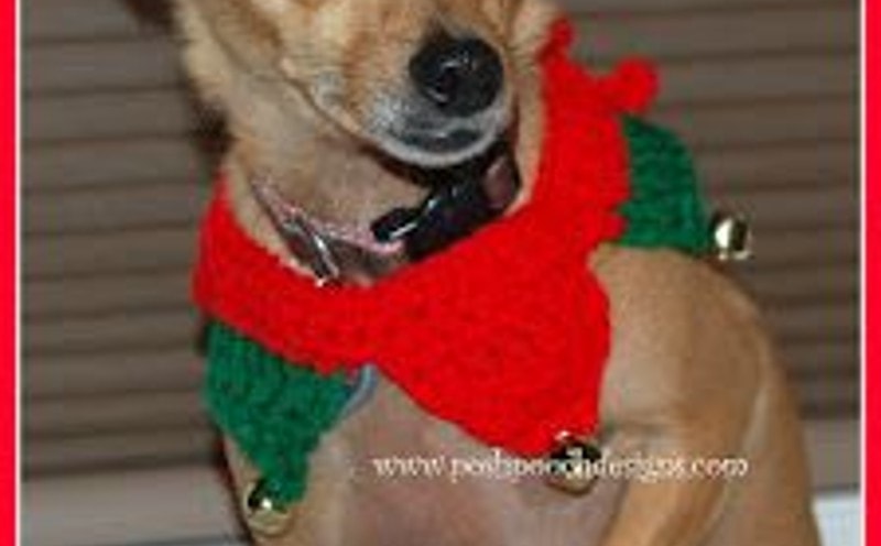 DIY Christmas Dog Collar