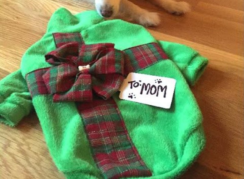 DIY Dog Sweater For Dog