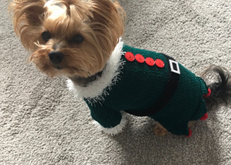 DIY Dog Sweater For Dog
