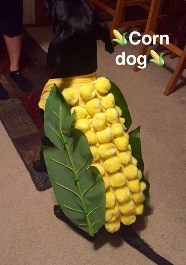 DIY Corn Dog