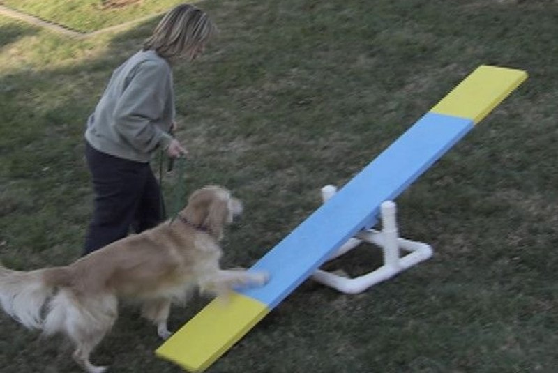 DIY Dog Agility Course