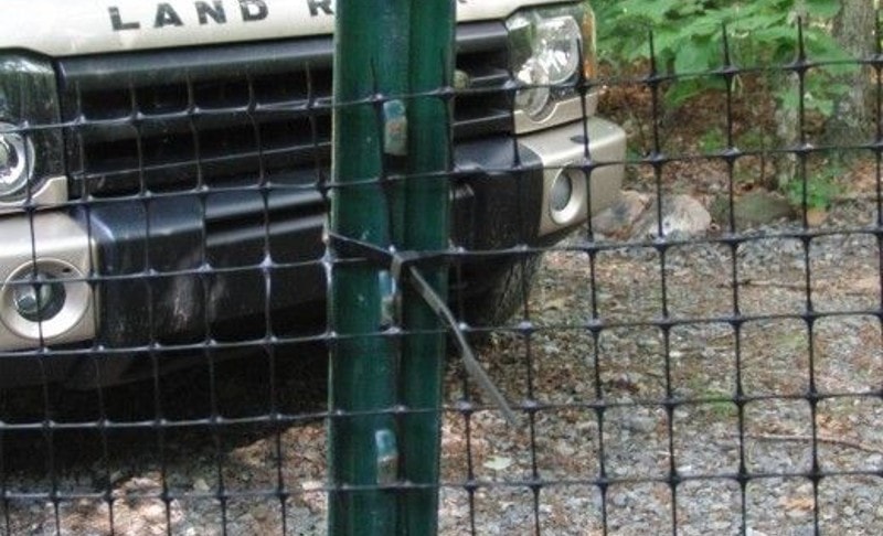 DIY Dog Fences