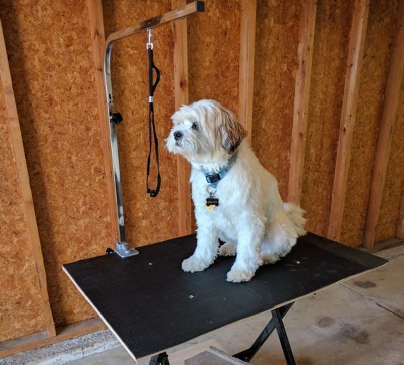 DIY Dog Grooming Table
