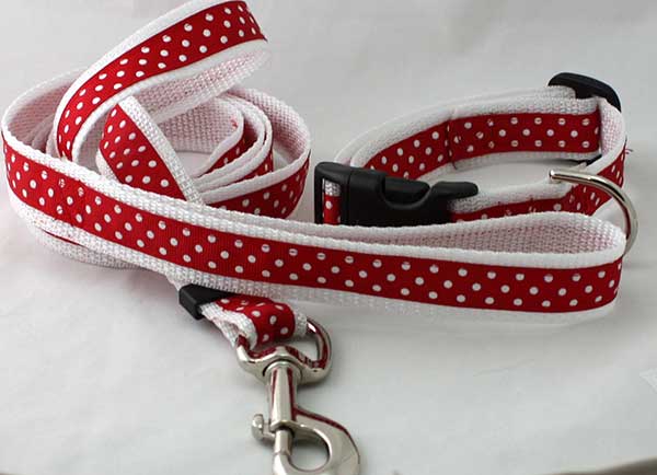 DIY Dog Leash and Collar from Nylon Webbing and Ribbon