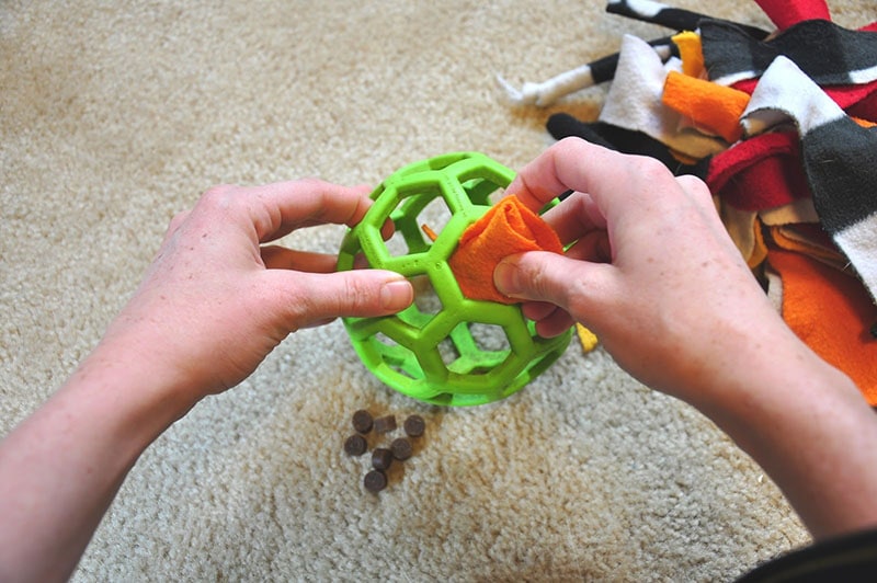 DIY Dog Puzzle