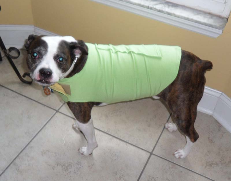 DIY Dog Thundershirt
