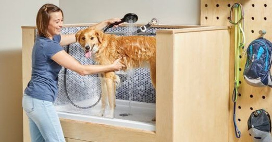 DIY Dog Wash Station