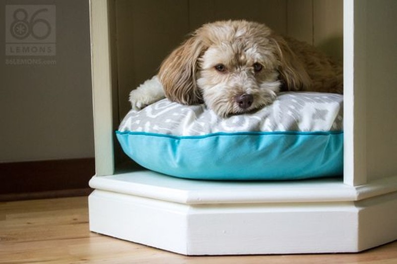 DIY Dog Wood Beds
