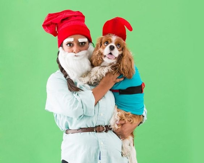 DIY Dog and Owner Costumes