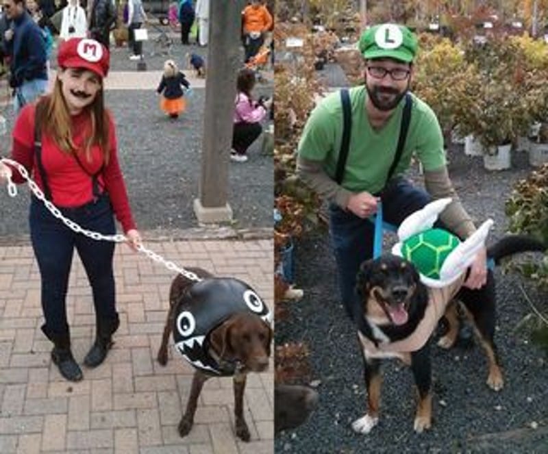 DIY Dog and Owner Costumes