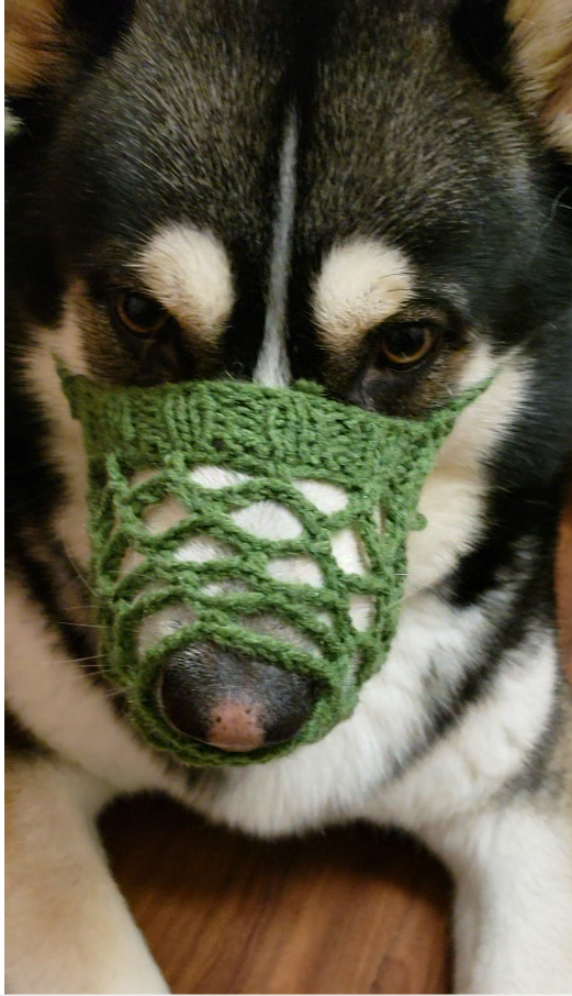 DIY Knitted Dog Muzzle