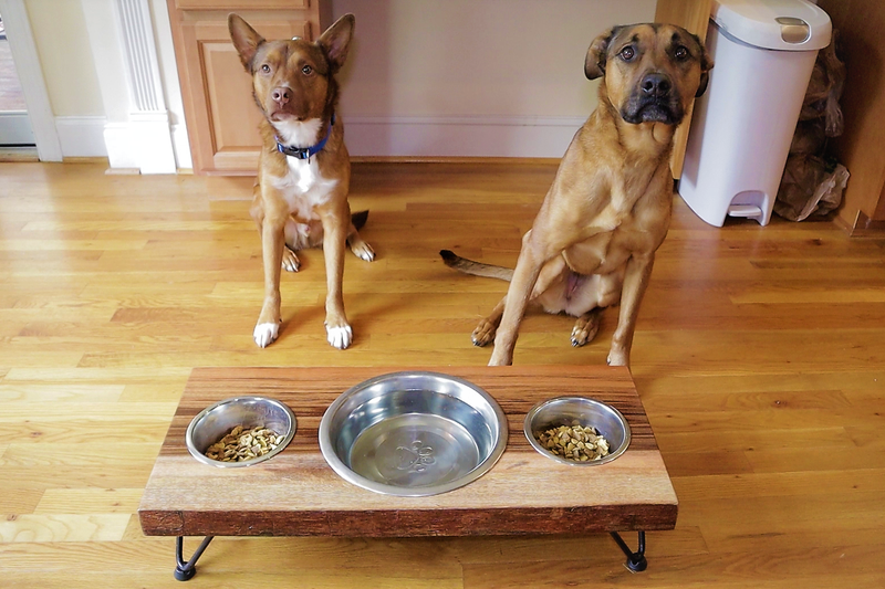DIY Multi-Dog Dog Bowl Stand