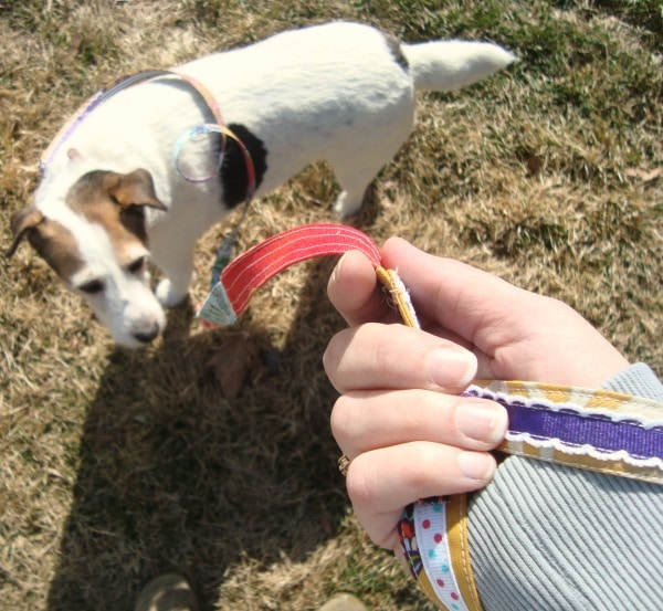 DIY Ribbon Dog Leash Tutorial