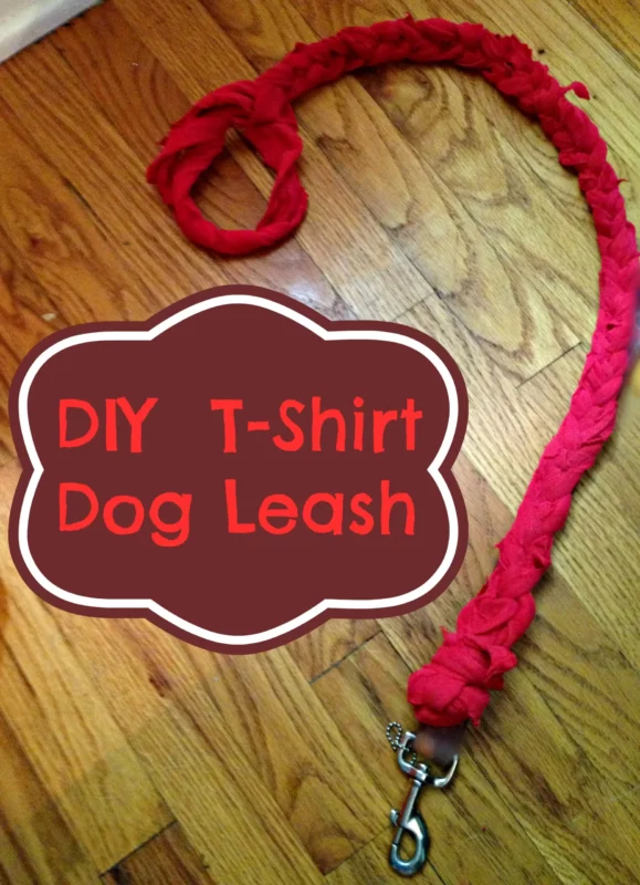 DIY Upcycled Dog Leash