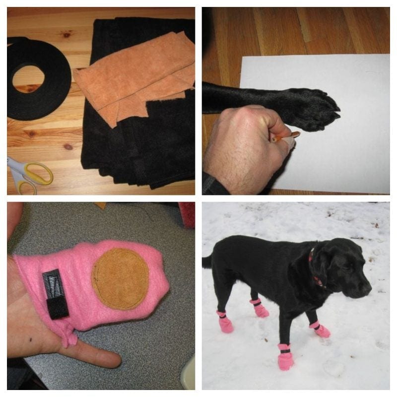 DIY Velcro Dog Booties