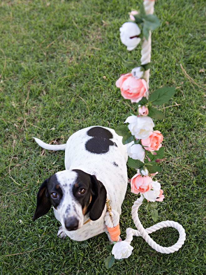 DIY Wedding Dog Leashes
