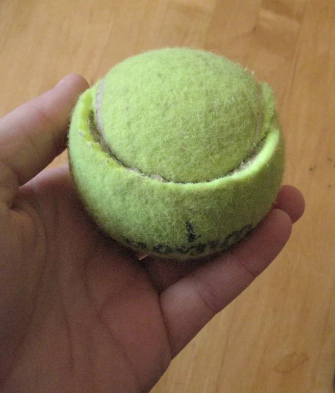 DIY easy and cheap dog toy
