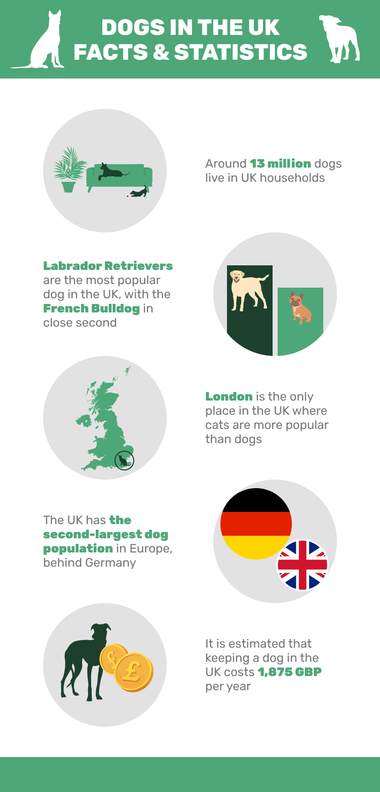 DOGS_IN_THE_UK_FACTS_&_STATISTICS