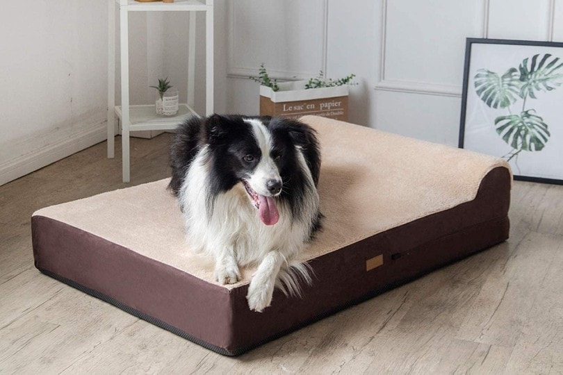 Dog Bed for Hip Dysplasia