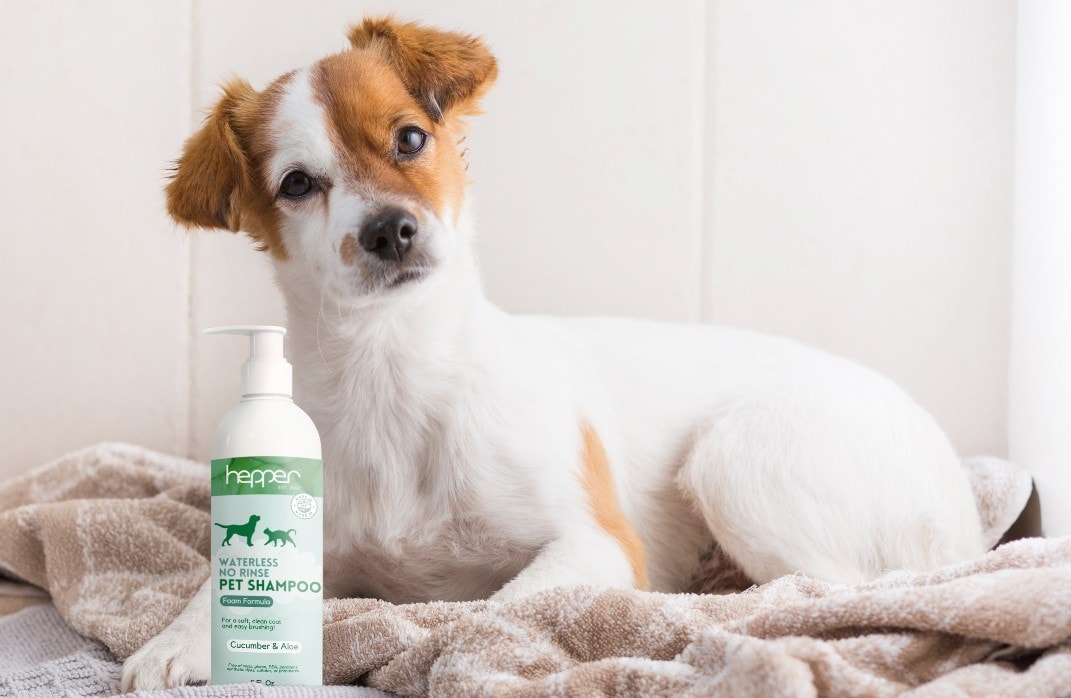 Dog + Hepper waterless dry shampoo sitting on towels