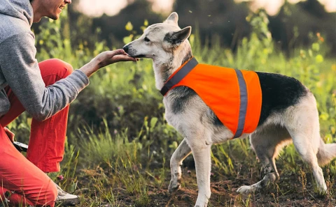 Dog Hunting Vest Blaze Orange