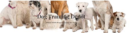 Dog Training Depot
