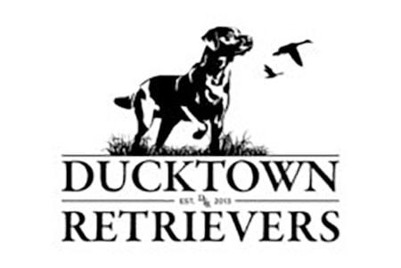 Ducktown Retrievers