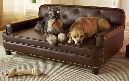Enchanted Home Pet Library Sofa Cat & Dog Bed with Removable Cover