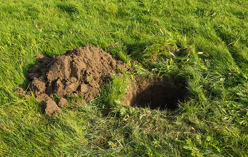 Excavated Hole with Soil in Meadow