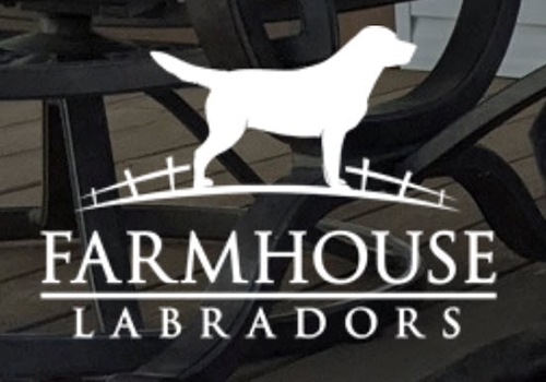 Farmhouse Labradors logo
