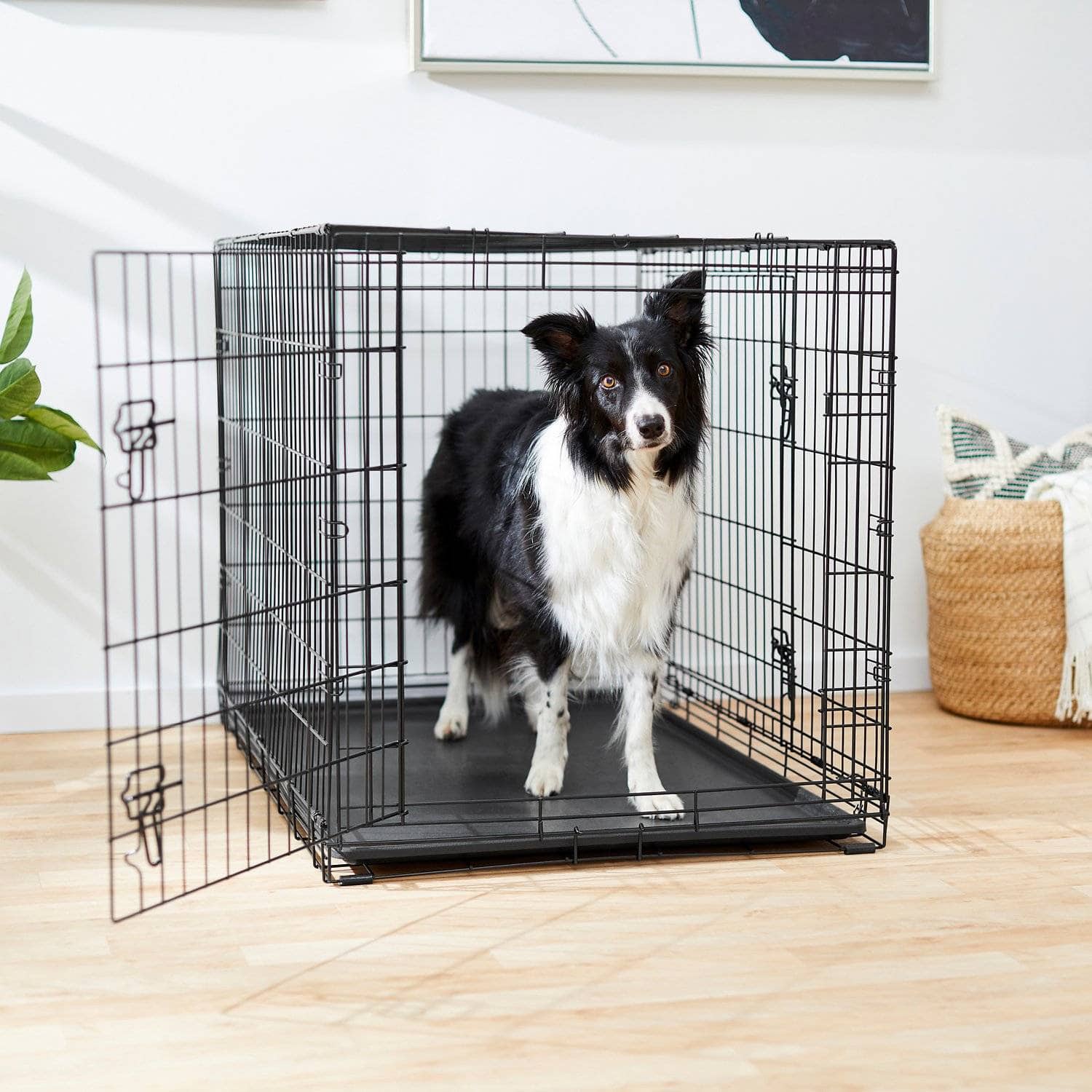 Frisco Fold & Carry Double Door Collapsible Wire Dog Crate (1)