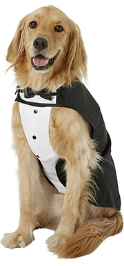 Frisco Formal Dog & Cat Tuxedo