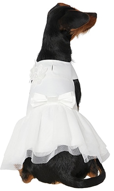 Frisco Formal Dog Wedding Dress