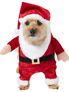 Frisco Front Walking Santa Dog & Cat Costume