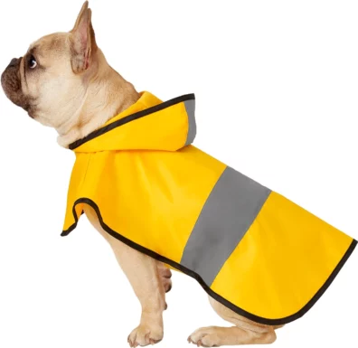Frisco Lightweight Rainy Days Dog Raincoat