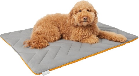 Frisco Travel Pillow Dog Bed with Reusable Storage Bag