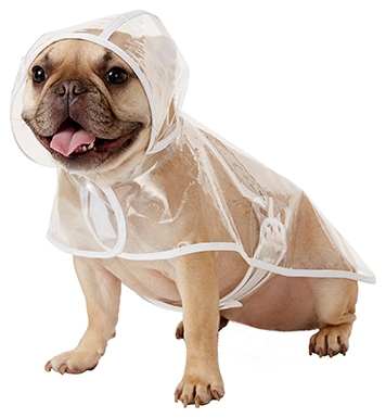 Frisco Vinyl Dog Raincoat
