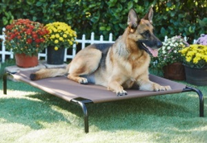 Frisco dog Bed 2_Chewy