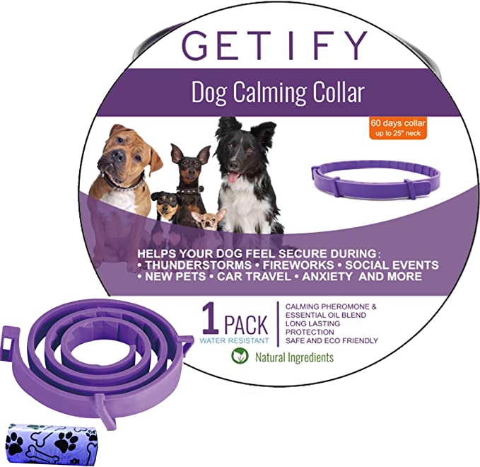6 Best Calming Collars for Dogs in 2024 Reviews and Top Picks Dogster