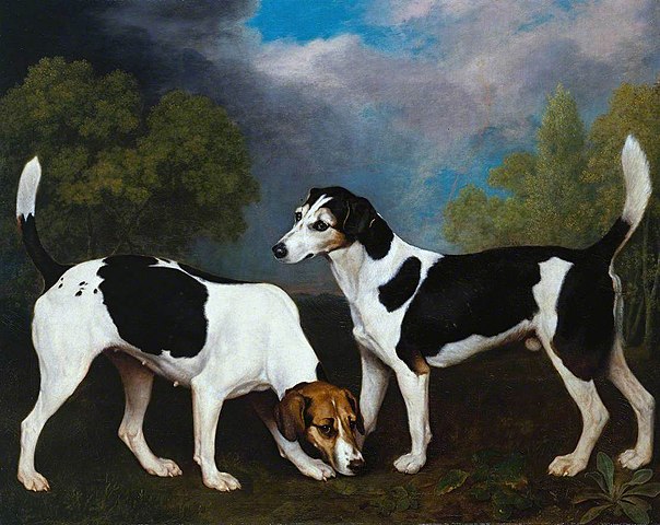 George Stubbs-A Couple of Foxhounds_Wikimedia Commons