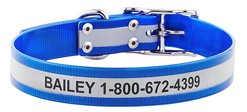 GoTags Waterproof Personalized Reflective Dog Collar