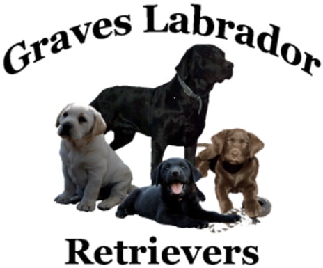 Graves Labrador Logo