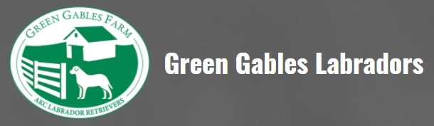 Green Gables Labradors