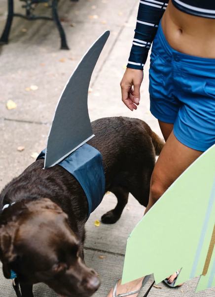 HALLOWEEN COUPLES COSTUME WITH YOUR DOG_ SURFER GIRL AND SHARK