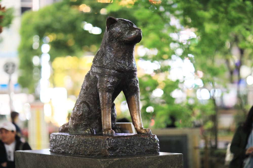 Hachiko Statue in Tokio