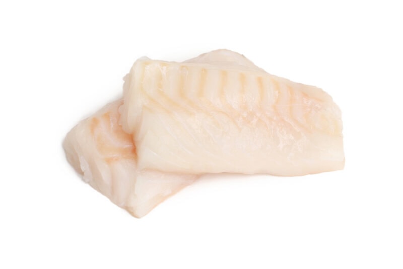 Haddock in white background