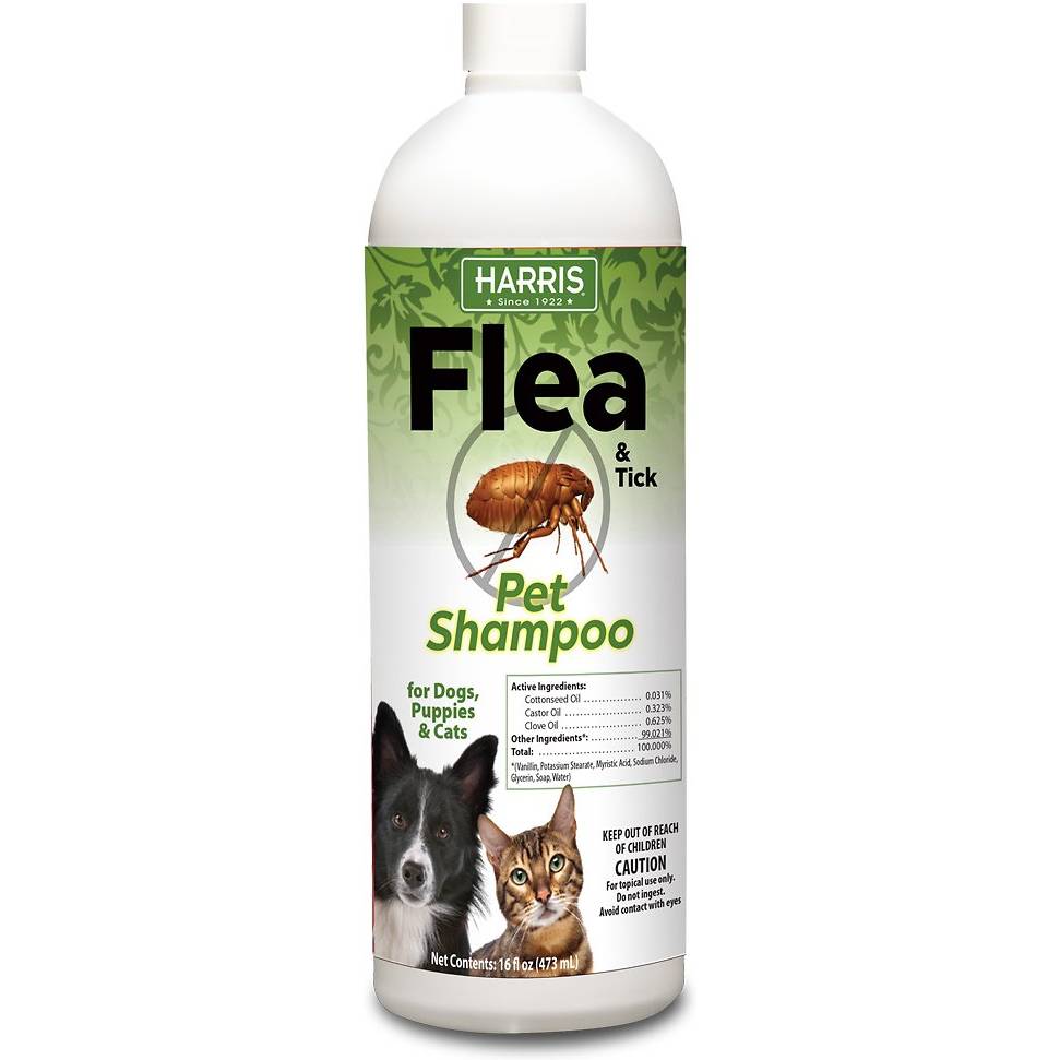 Harris Eco-Friendly Flea & Tick Dog & Cat Shampoo (1)