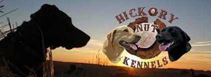 Hickry Nut kennels logo