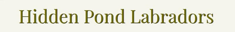 Hidden Pond Labradors logo