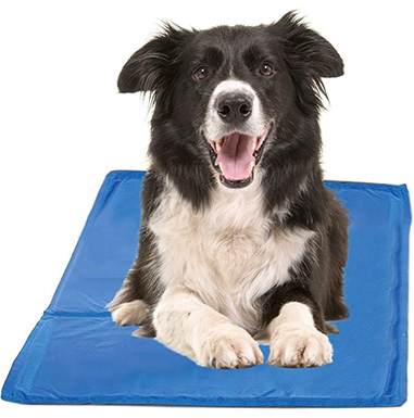 Hugs Pet Products Chillz Cooling Mat For Dogs